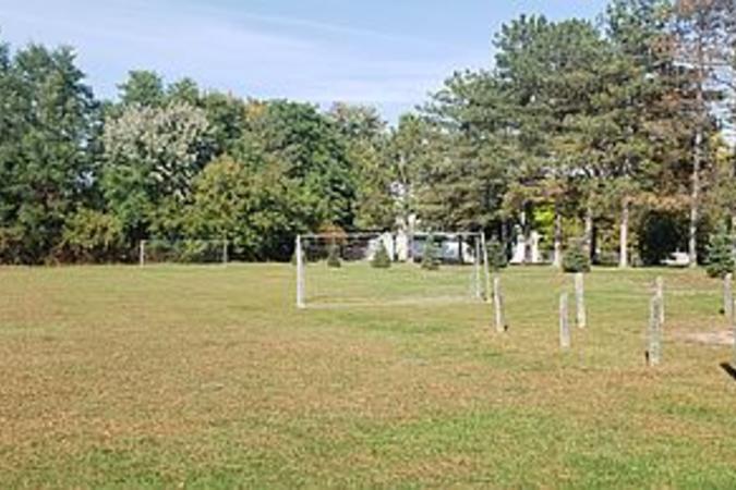 Plaing field