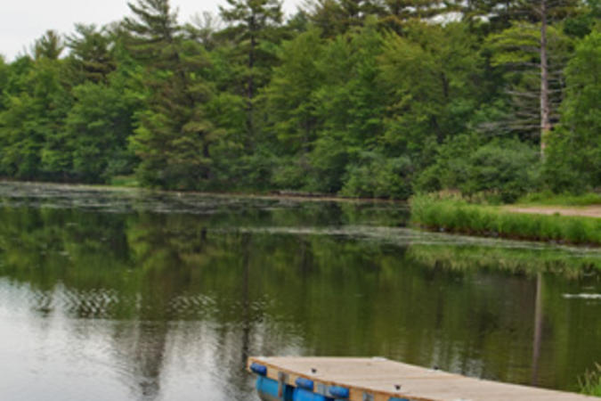 Dock