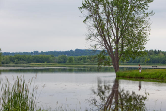 View over water surrounded by trees